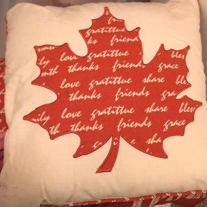 3 decorative fall pillows